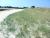 La dune est par définition l'habitat caractéristique du bord de mer. Elle est constituée d'un substrat sableux sur lequel pousse une végétation adaptée à la sécheresse et au sel. L'Oyat, le chiendent des sables et le Panicaut maritime sont quelques espèces indicatrices de cet habitat.