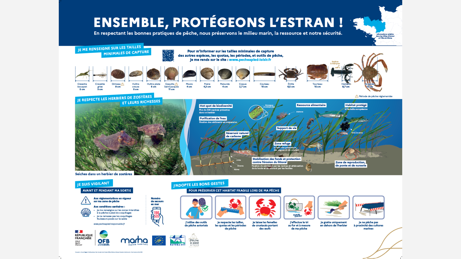 Panneau sensibilisation herbiers