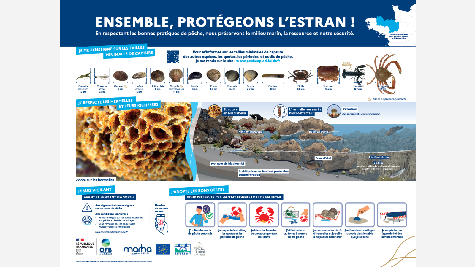 Panneau sensibilisation récifs hermelles