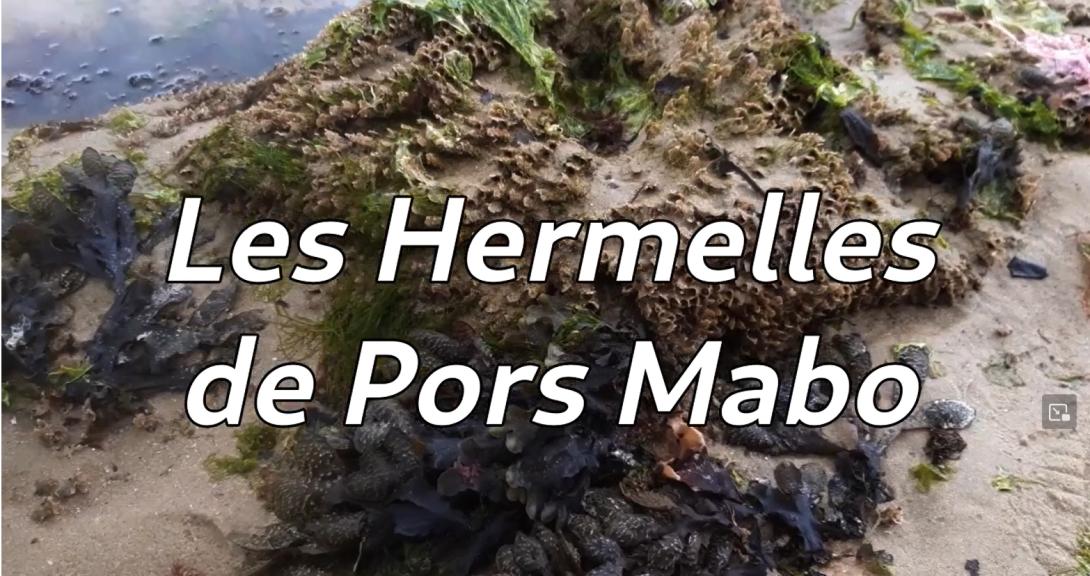 Films AME Trébeurden